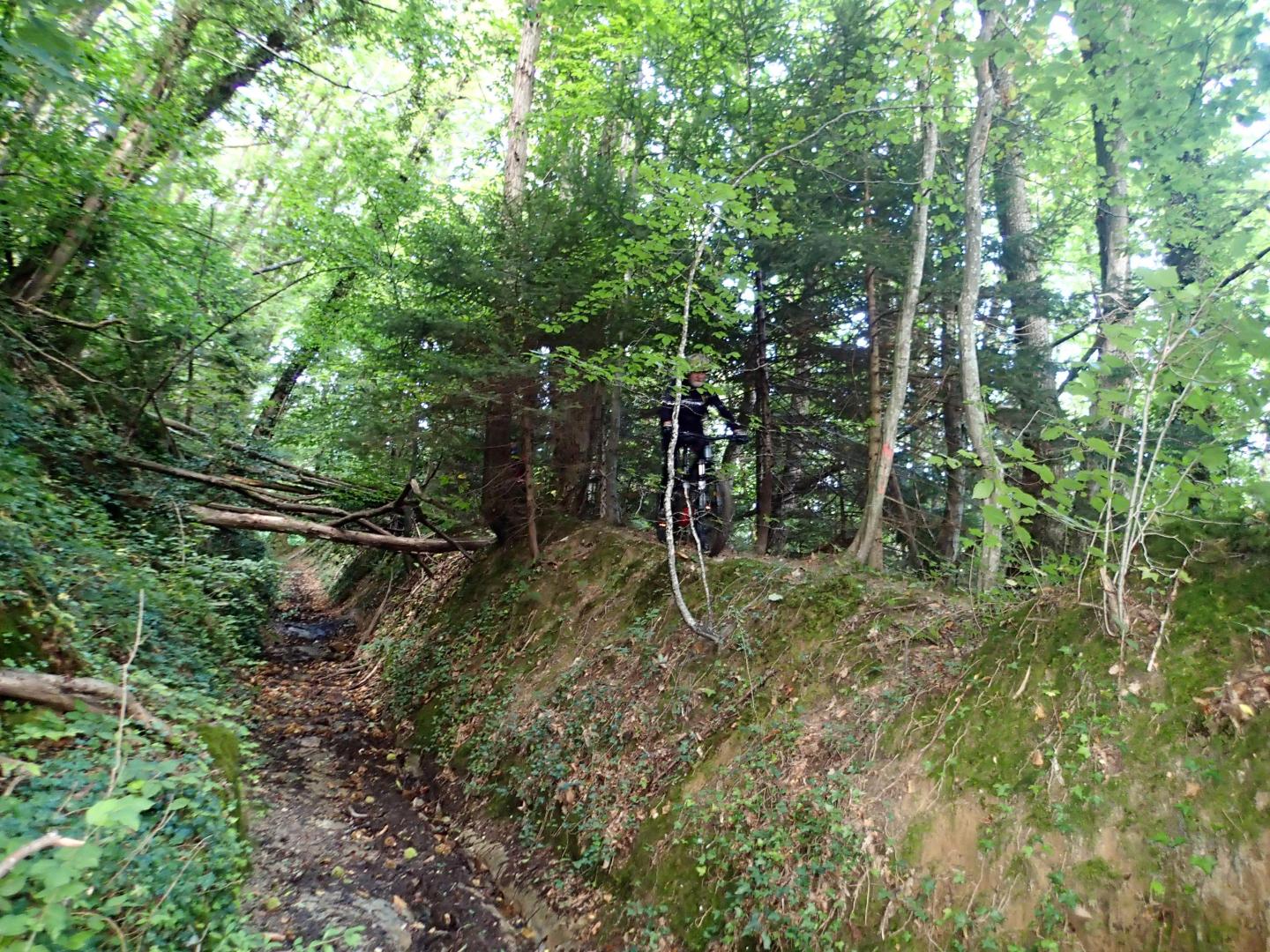 Tour nord de la Croix de St Denis