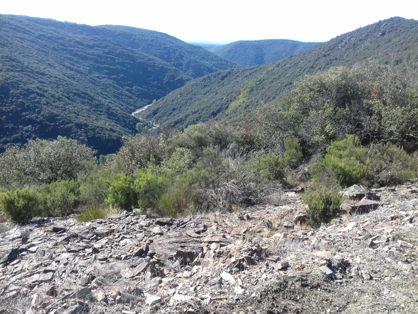 Les hauts du Cabardès