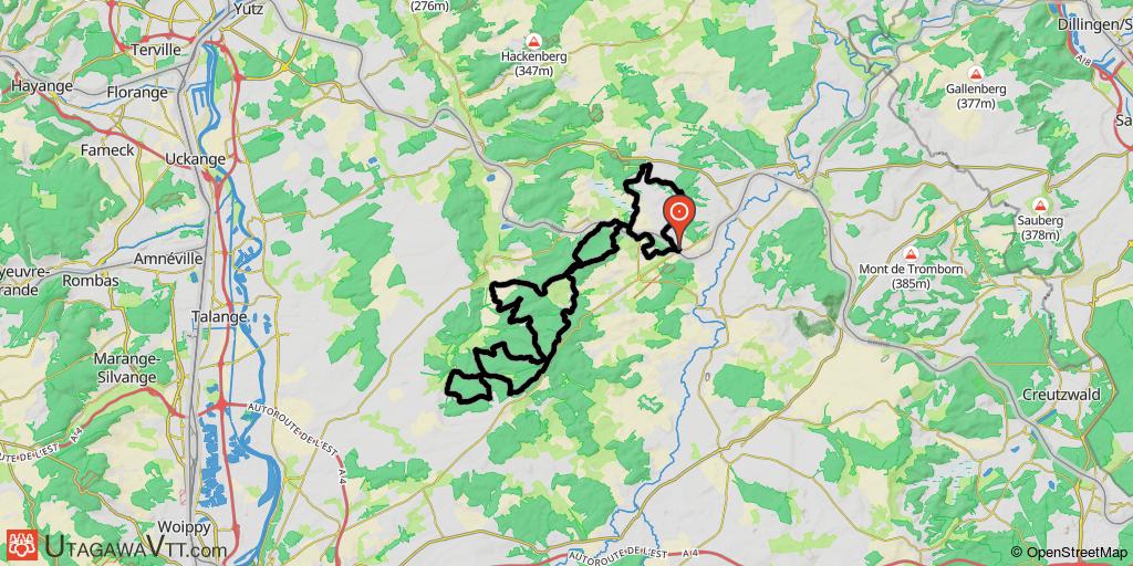 Rando d'Anzeling "Les Hêtres Déchaînés" - 60 km