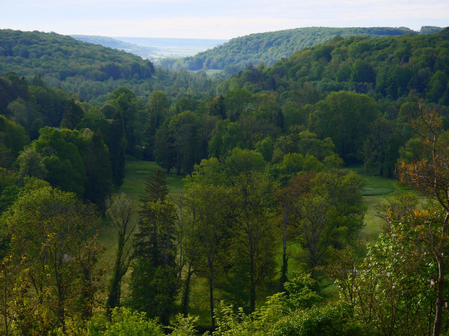 Boucle dans le Parc National des Forêts