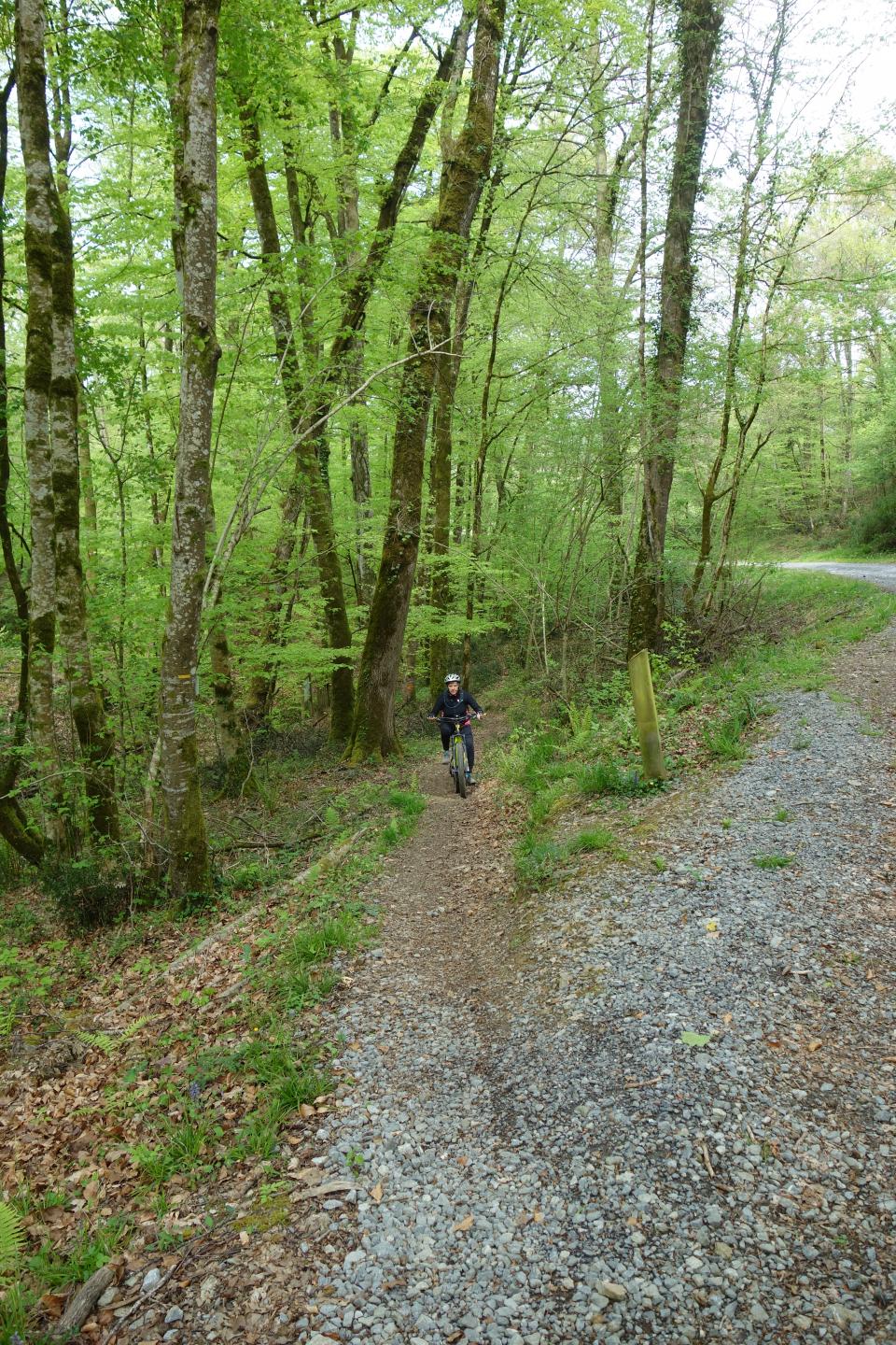 Petite compilation Saint-Pée - Bois de Buguangue