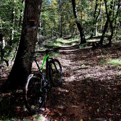Retour vers la Base VTT Le Vert Plateau