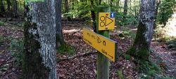 Retour vers la Base VTT Le Vert Plateau