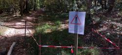 Retour vers la Base VTT Le Vert Plateau, la mare aux grenouilles