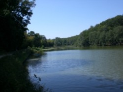 étang du Moulin à Renard