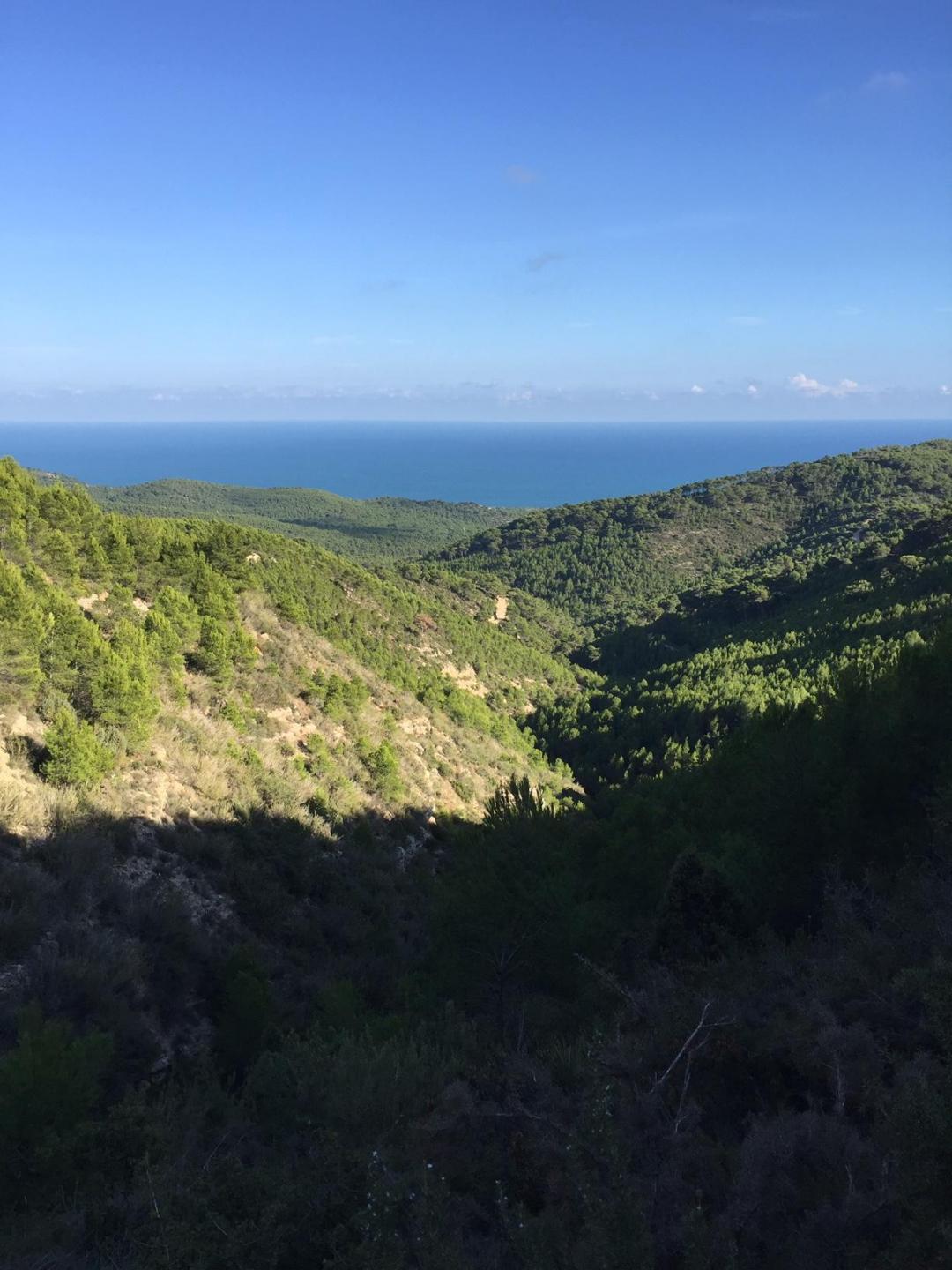 Sierra d'Irta sud