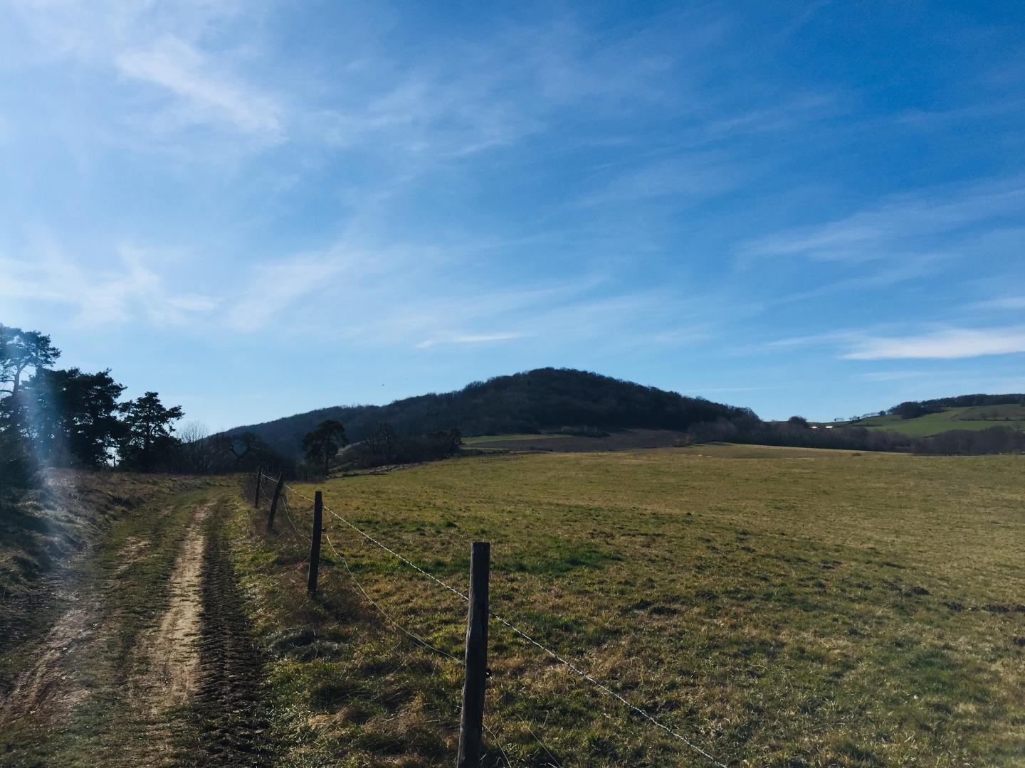 Dans les Monts du Lyonnais