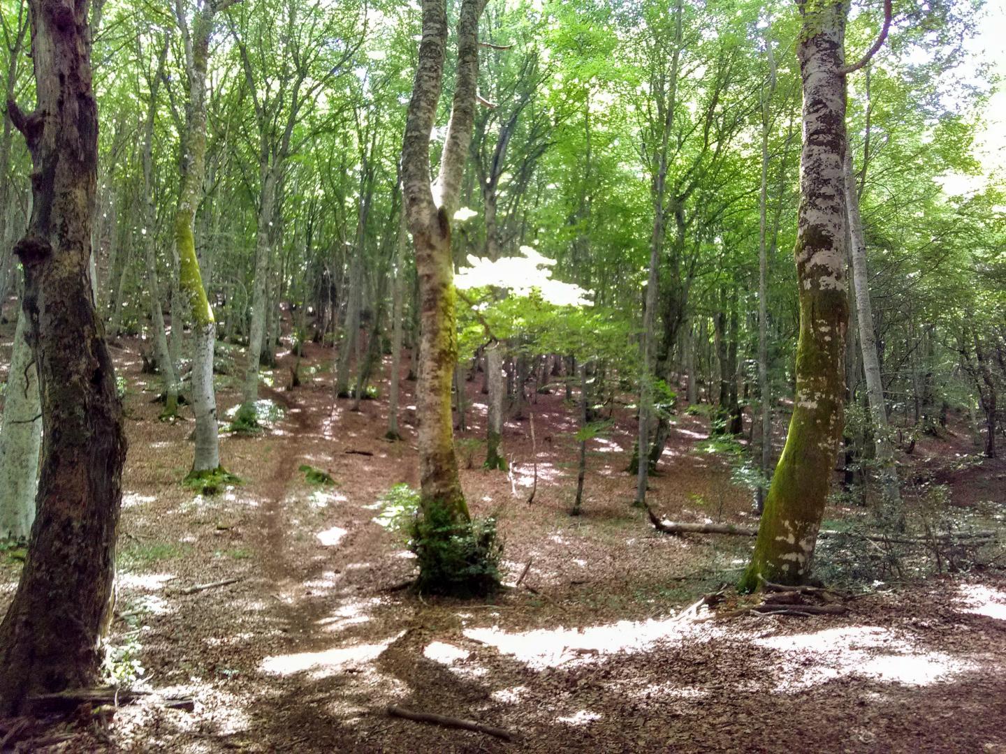 Pulvérières - Au cœur des puys