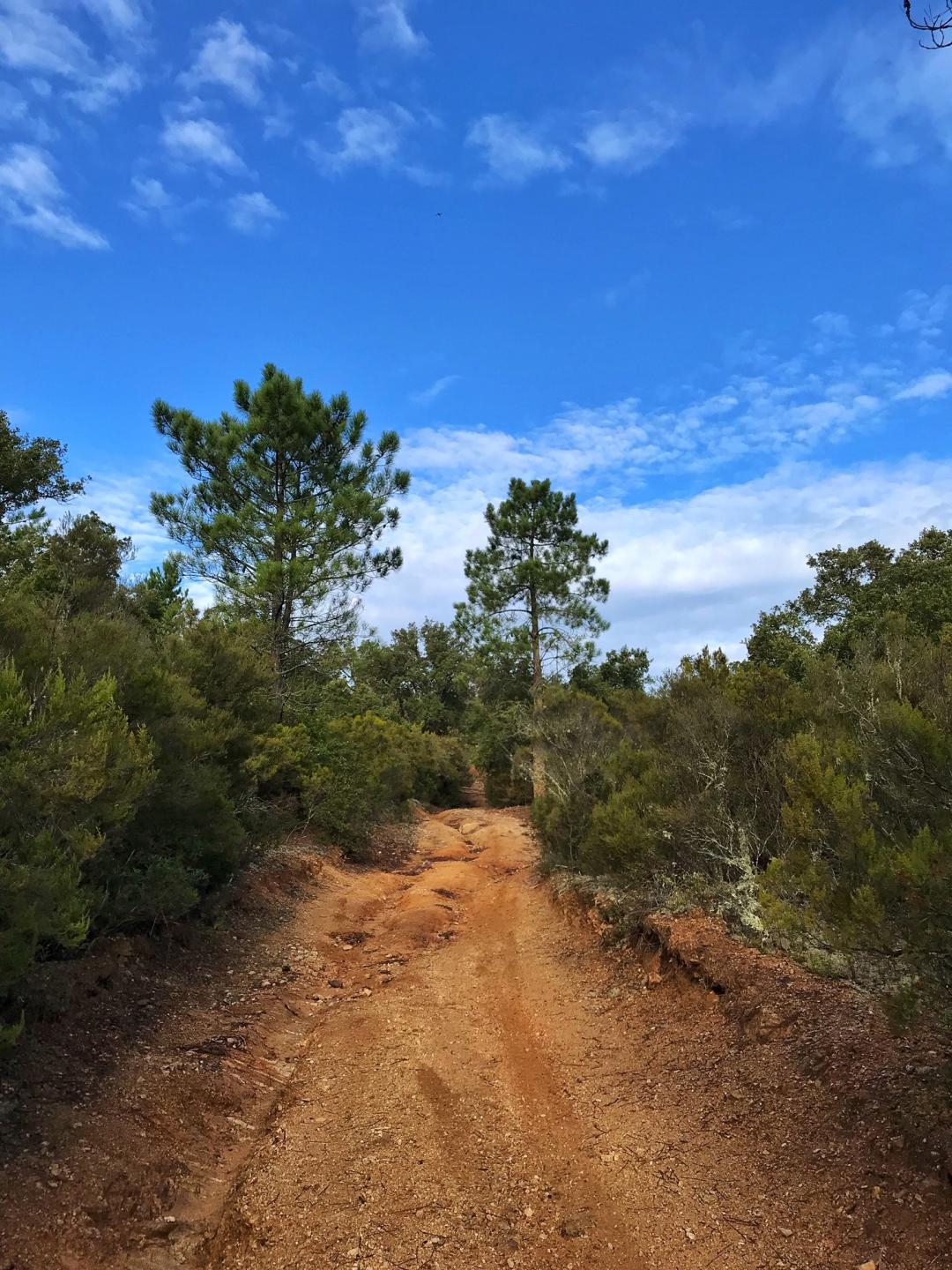 Sur les hauteurs de Sainte-Maxime