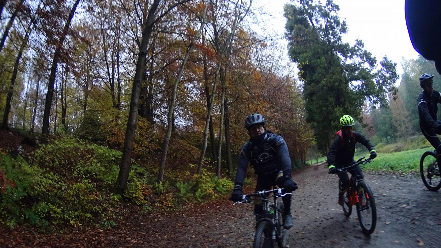 Balade velo sales foret de soignes