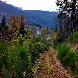 Descente sur Saint-Appolinaire