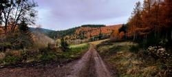 Couleurs d'automne