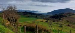 Paysage du Beaujolais