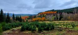Couleurs d'automne