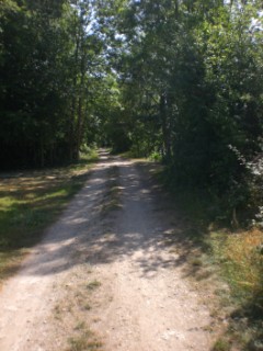 Bords de l'Yonne - Pont sur Yonne - Vinneuf