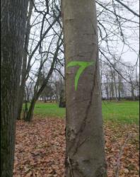 Balise de la Tégéval.