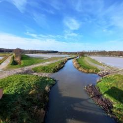 Le Beuvron, vue du haut de la passerelle