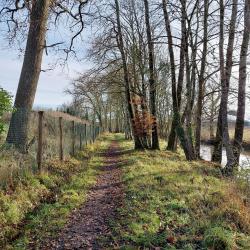 Le long du Beuvron