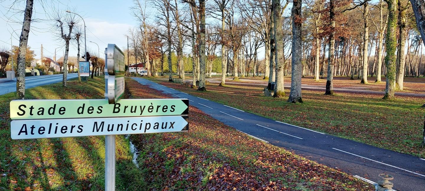 Forêt Domaniale de Lamotte-Beuvron