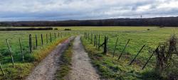 Paysage