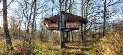 Les Lierres, cabane perchée