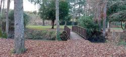 Lamotte-Beuvron, petit parc avec passerelle vers la piscine