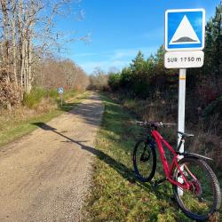 Longue piste forestière vers Vouzon