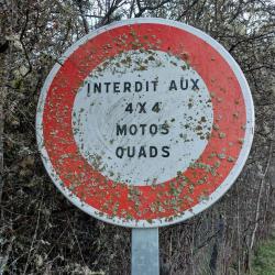 Chemin forestier