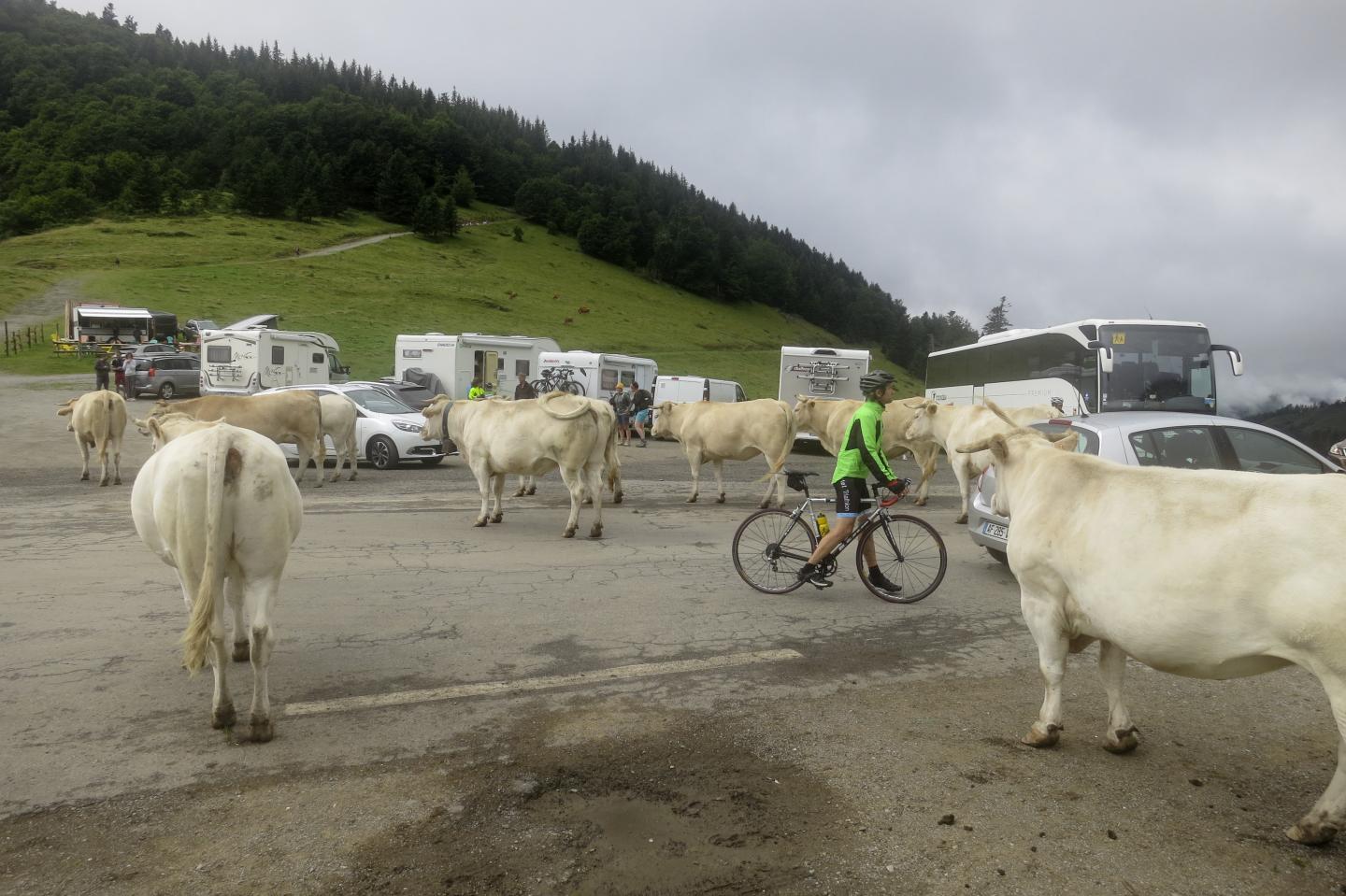 Traversée des Pyrénées (ouest-est) à VAE - Étape 6/13 : Bagnères-de-Bigorre - Arreau