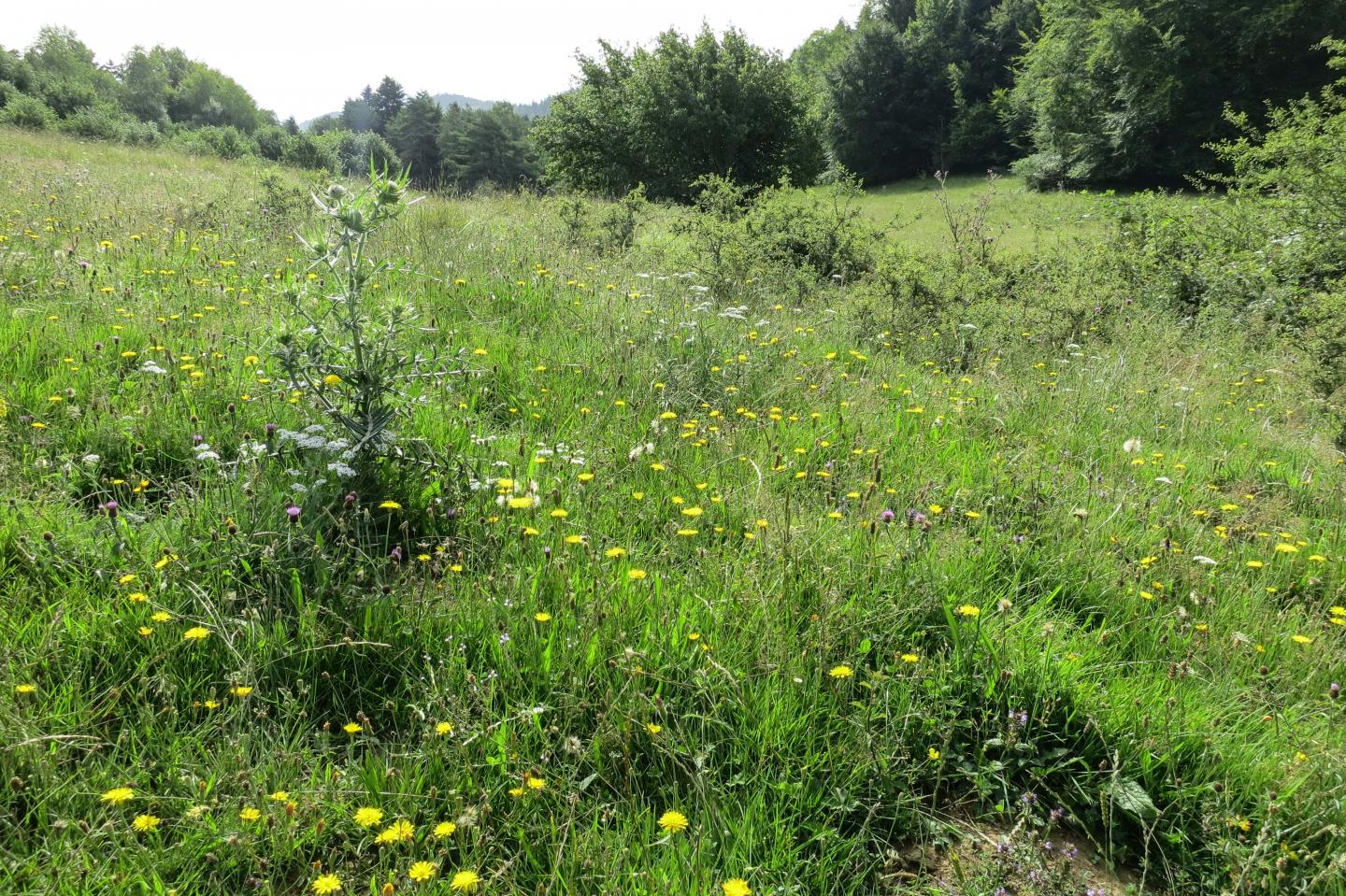 Traversée des Pyrénées (ouest-est) à VAE - Étape 11/13 : Comus - Sournia