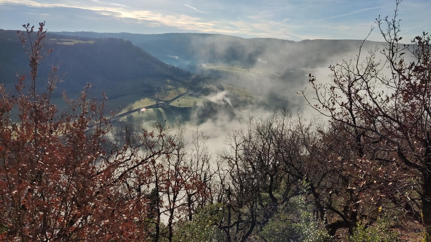 Vaour - Sainte-Sabine - Penne (les Suquets) - Vaour
