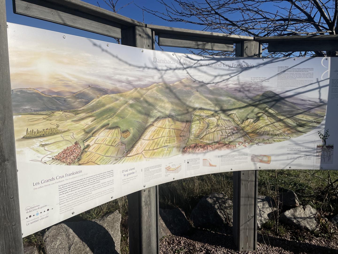 Sélestat - Dambach-la-Ville - Blienchwiller - Albé - Thanvillé - Route forestière des Châteaux -Sélestat