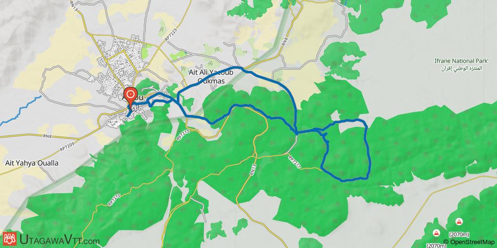 Moyen-Atlas : Azrou - Cèdre Gouraud