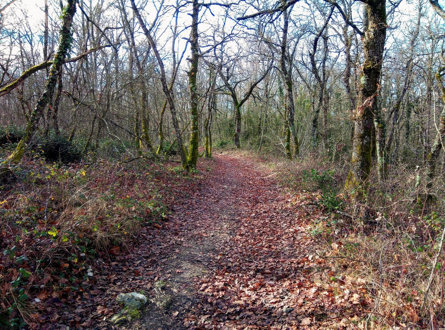 Sur les traces des Huguenots