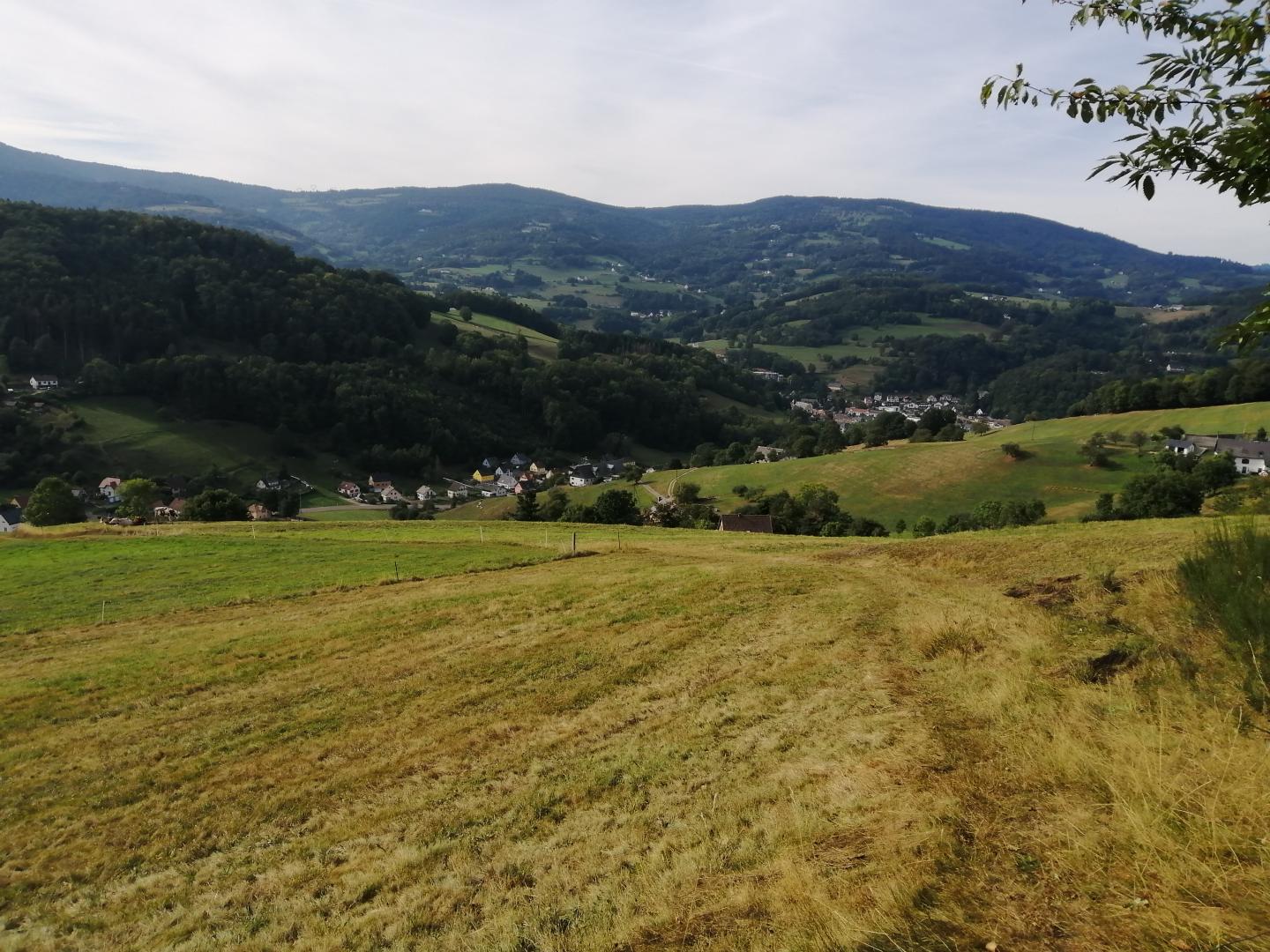 Labaroche - La Grande Vallée - La Rougeterre