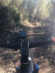 VTT-29731