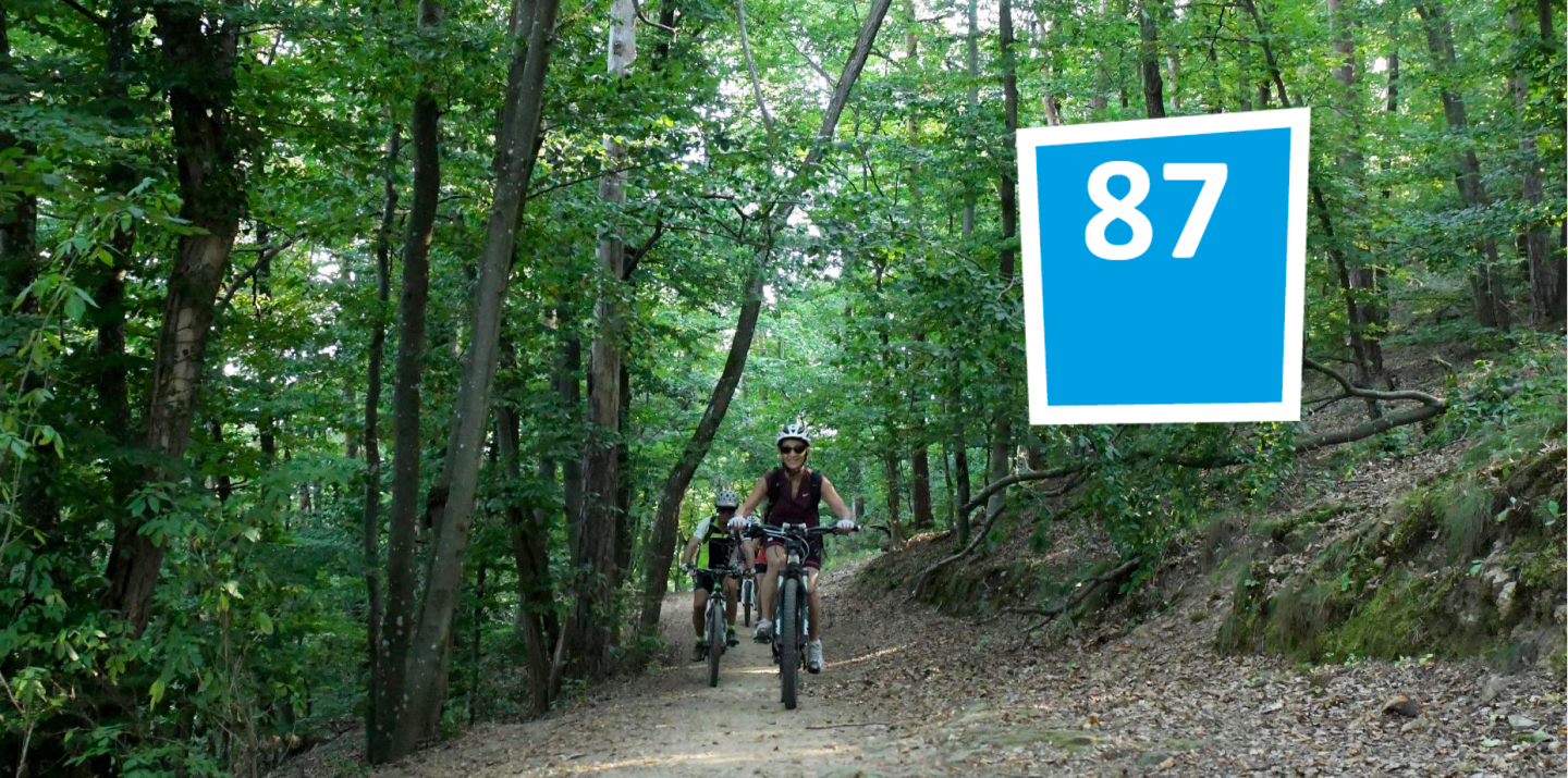 Saint-Victor-Malescours - Circuit n°87 : Le tour au galop