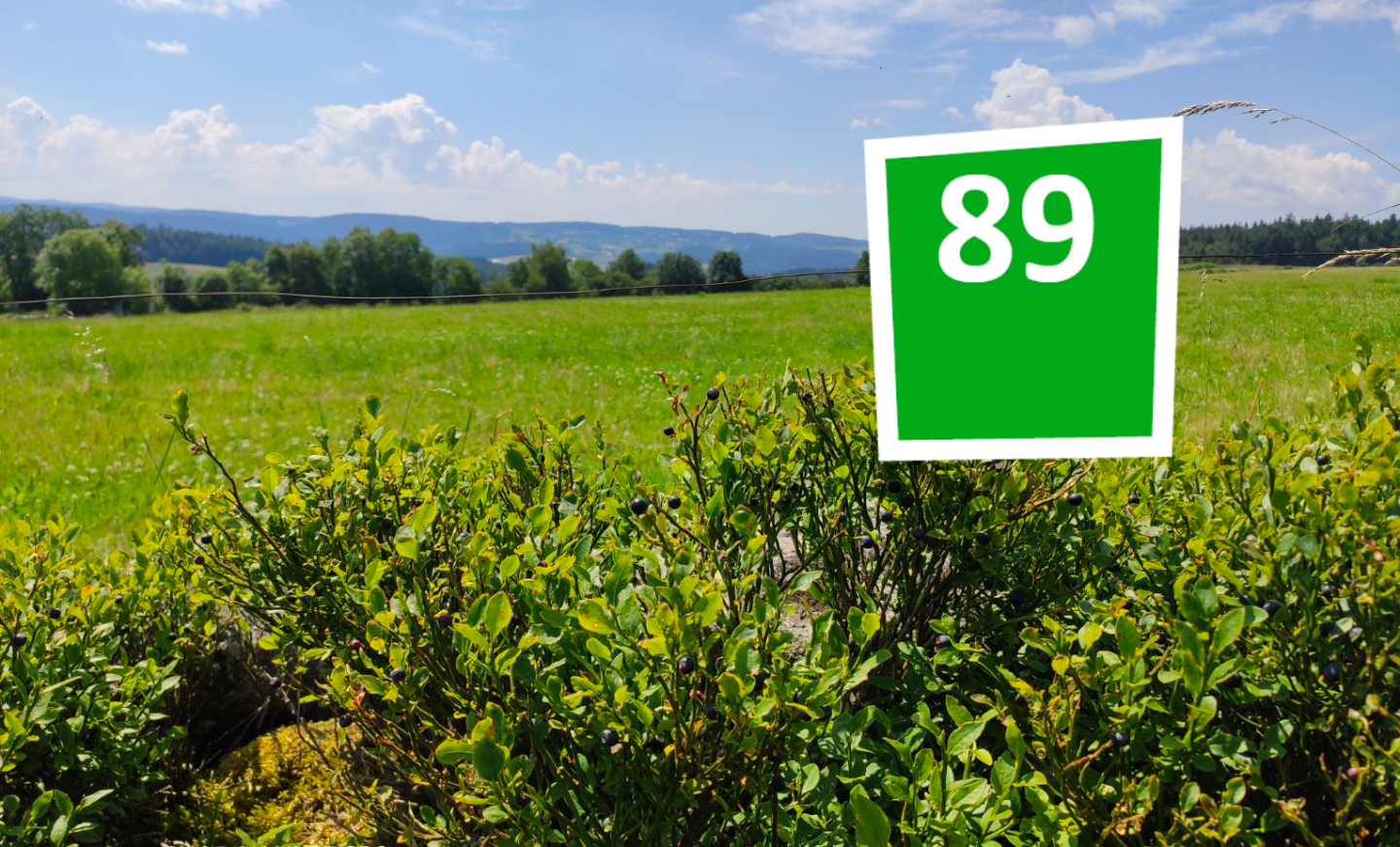 Saint-Victor-Malescours - Circuit N° 89 : A petites roues