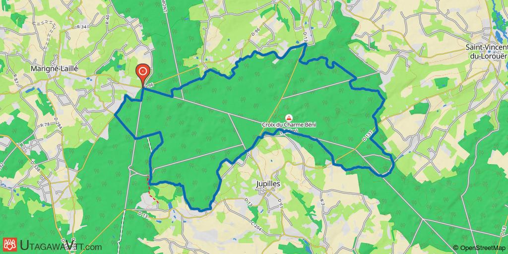 Dans la forêt domaniale de Bercé