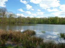 Etang Thevenon
