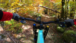 VTT-29830