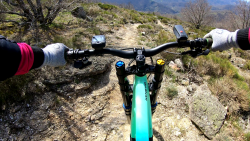 VTT-29835