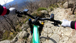 VTT-29837
