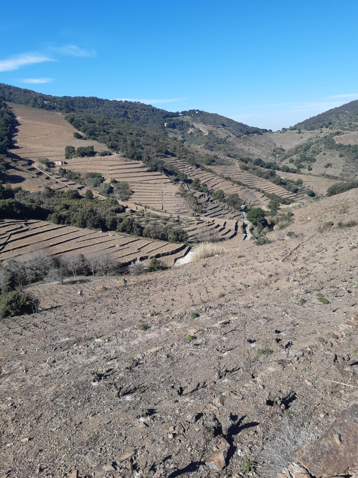 De Valmy vers les vignobles de Collioure et Port-Vendres