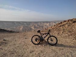 VTT-29979