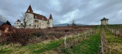 Château de la Palud