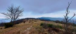 Landes du Beaujolais