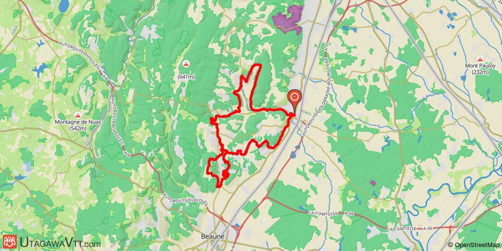 Randonnée des Grands Crus de Bourgogne 2009 - 58 km