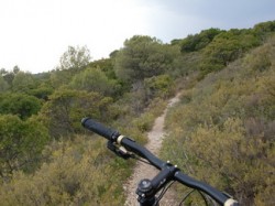 la guarrigue