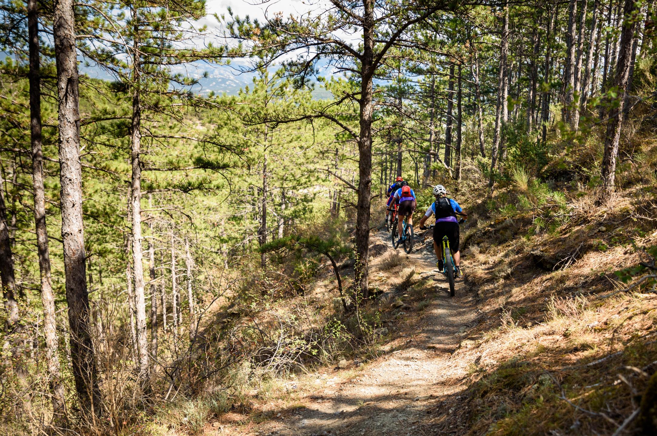 Domaine VTT Provence-Alpes, secteur Val de Durance - Circuit N°15 : La Rando du Cairn - Château-Arnoux